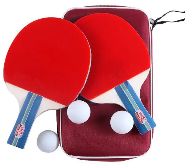 Double Fish 236A 2* Juego de tenis de mesa